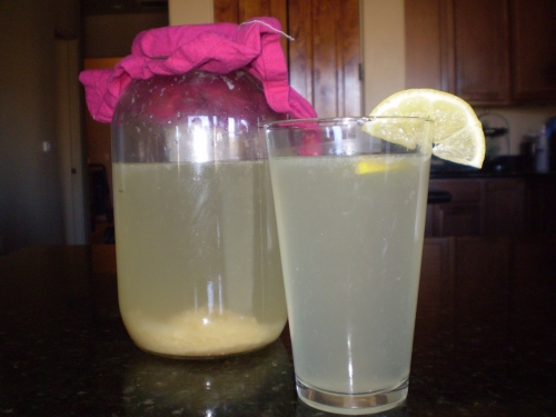 Fermented Lemonade Fermented Lemonade